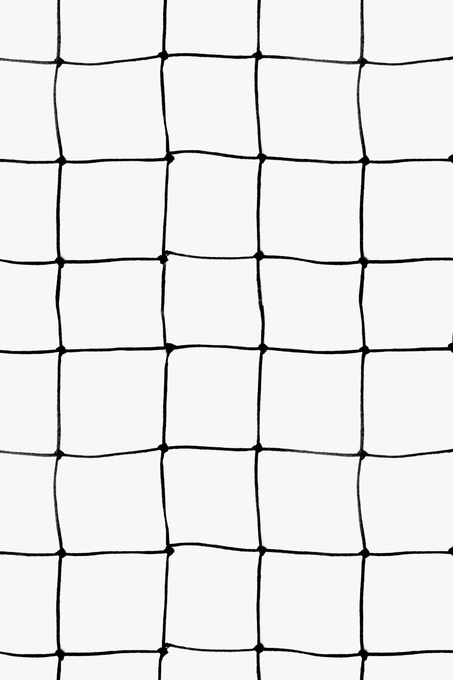 Filet de volley entrainement