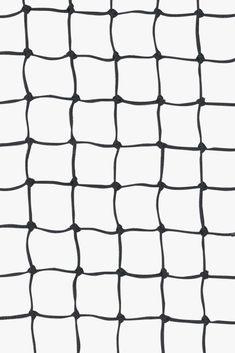 Filet volley-ball de compétition